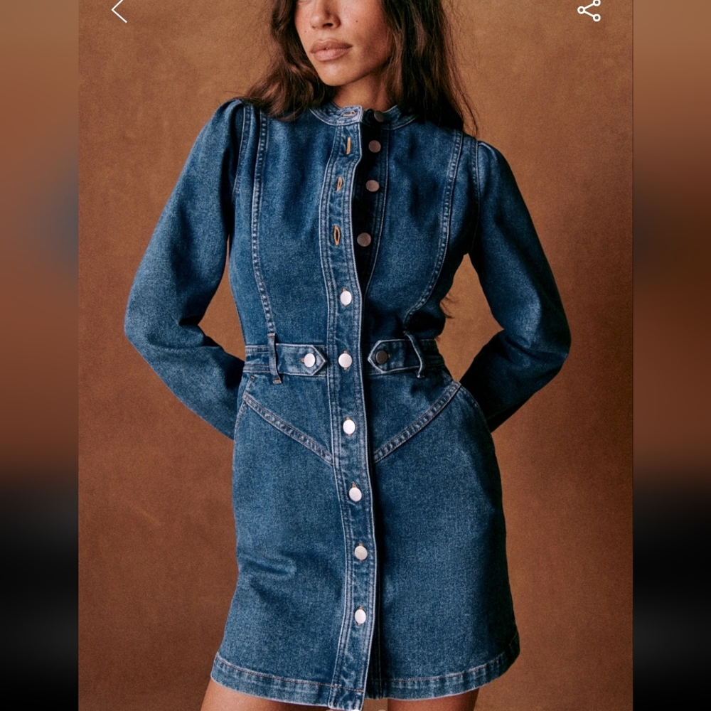 Sezane Alberta Blue Jean Buttoned Sheath Dress